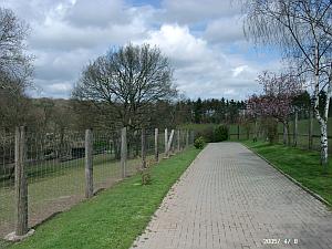 Weg im Wildpark