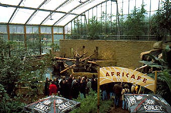 Mandrillanlage im Afrikahaus, davor die ZGAP-Teilnehmer