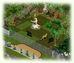 Leopardenanlage mit Maschendraht