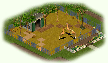 Standard-Gehege Giraffen